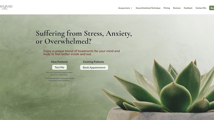 acupuncture-web-design-temecula-murrieta-shared-grsphics-portfolio-example-site-06